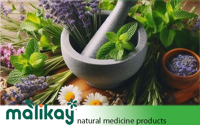 أعشاب لعلاج سرطان المعدة وتسهيل الهضم