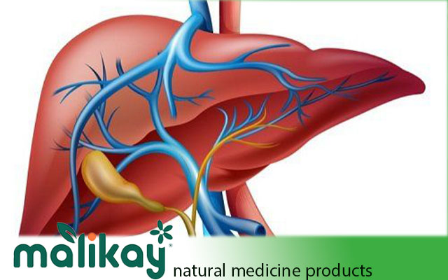 التخلص من تليف الكبد الناتج عن الأورام طبيعياً